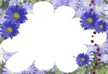 照片效果分类 女性相框 № 5507 照片效果分类 女性相框 № 5507