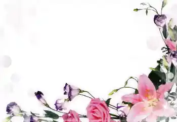 照片效果分类 女性相框 № 55396