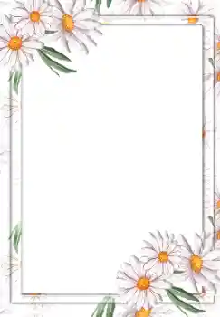 照片效果分类 女性相框 № 55441