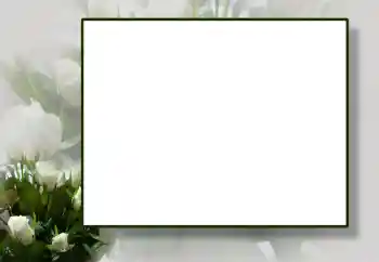 照片效果分类 女性相框 № 55444