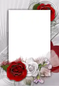 照片效果分类 女性相框 № 55454
