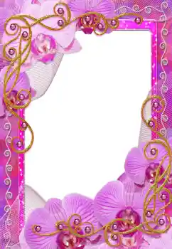 照片效果分类 女性相框 № 55475
