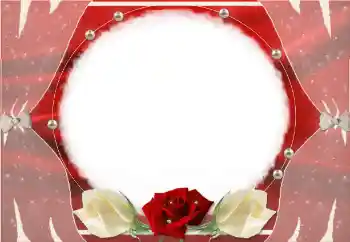 照片效果分类 女性相框 № 55523