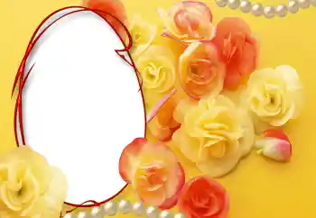 照片效果分类 女性相框 № 55528