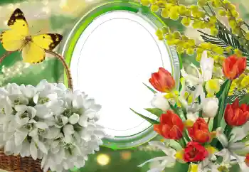 照片效果分类 女性相框 № 56529