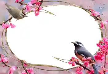 照片效果分类 女性相框 № 56627 照片效果分类 女性相框 № 56627