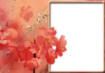 照片效果分类 女性相框 № 57711