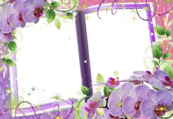 照片效果分类 女性相框 № 58759