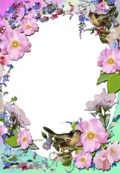 照片效果分类 女性相框 № 58779 照片效果分类 女性相框 № 58779