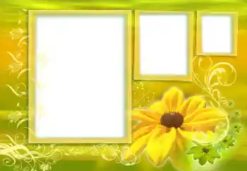 照片效果分类 女性相框 № 59058