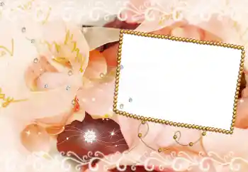 照片效果分类 女性相框 № 60393 照片效果分类 女性相框 № 60393