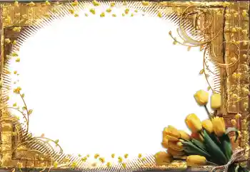 照片效果分类 女性相框 № 60398 照片效果分类 女性相框 № 60398