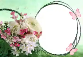 照片效果分类 女性相框 № 60415