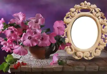 照片效果分类 女性相框 № 60498