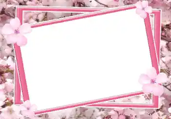 照片效果分类 女性相框 № 64115