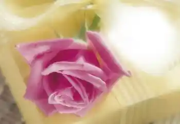 照片效果分类 女性相框 № 64263