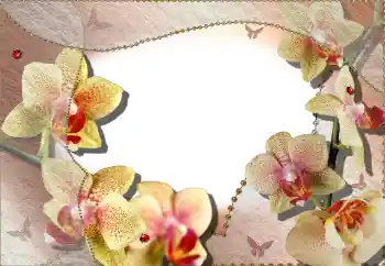 照片效果分类 女性相框 № 64386