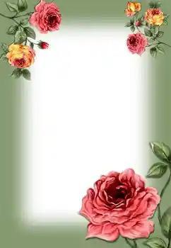 照片效果分类 女性相框 № 6509