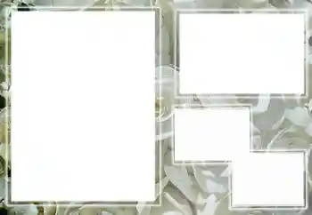 照片效果分类 女性相框 № 65658
