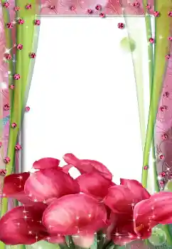照片效果分类 女性相框 № 67316