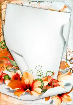 照片效果分类 女性相框 № 68450