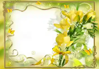 照片效果分类 女性相框 № 68458