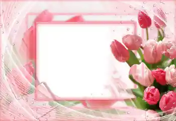 照片效果分类 女性相框 № 68546