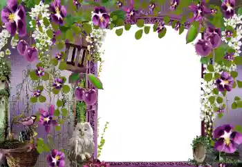 照片效果分类 女性相框 № 68582