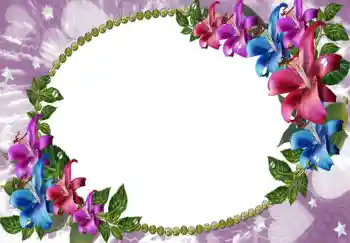 照片效果分类 女性相框 № 68641