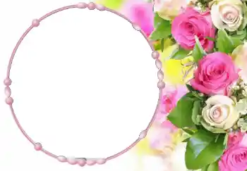照片效果分类 女性相框 № 68647