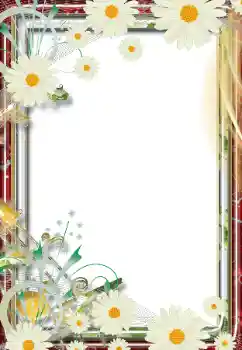 照片效果分类 女性相框 № 68805