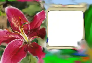 照片效果分类 女性相框 № 69843