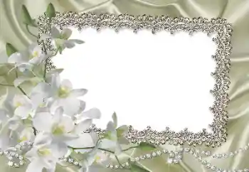 照片效果分类 女性相框 № 69861