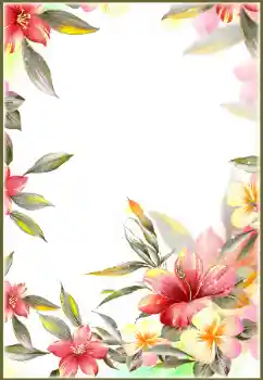 照片效果分类 女性相框 № 69880