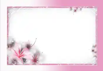 照片效果分类 女性相框 № 70888