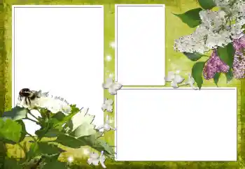 照片效果分类 女性相框 № 70903