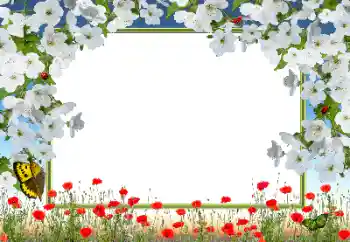 照片效果分类 女性相框 № 72133 照片效果分类 女性相框 № 72133