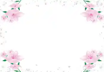 照片效果分类 女性相框 № 72430