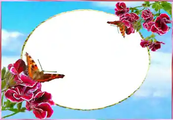 照片效果分类 女性相框 № 73784
