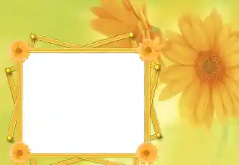 照片效果分类 女性相框 № 76821