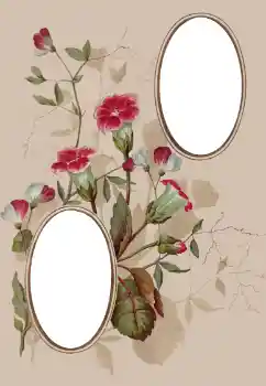 照片效果分类 女性相框 № 78920