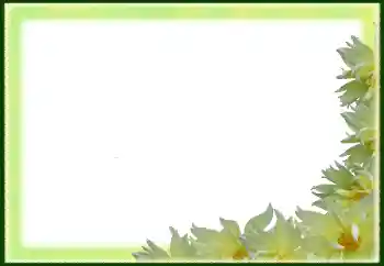 照片效果分类 女性相框 № 79029