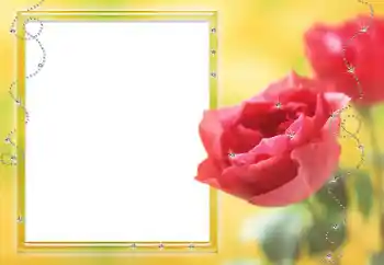 照片效果分类 女性相框 № 80125