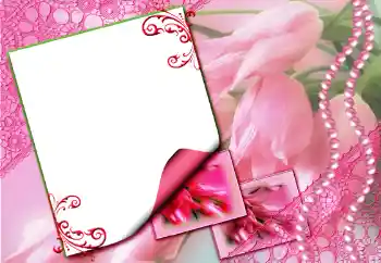 照片效果分类 女性相框 № 80132