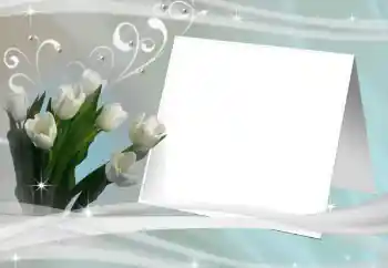 照片效果分类 女性相框 № 80245