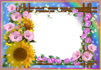 照片效果分类 女性相框 № 80252