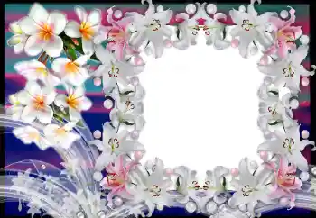 照片效果分类 女性相框 № 80383