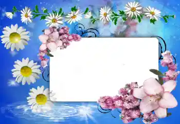照片效果分类 女性相框 № 80388