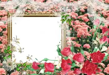 照片效果分类 女性相框 № 80390 照片效果分类 女性相框 № 80390