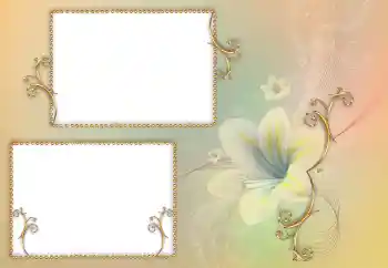 照片效果分类 女性相框 № 84156